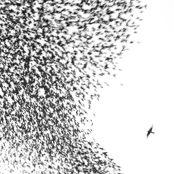 Wilco: Sky Blue Sky (2007)